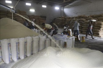 Giá gạo xuất khẩu của Ấn Độ giảm, giá gạo Việt Nam ổn định