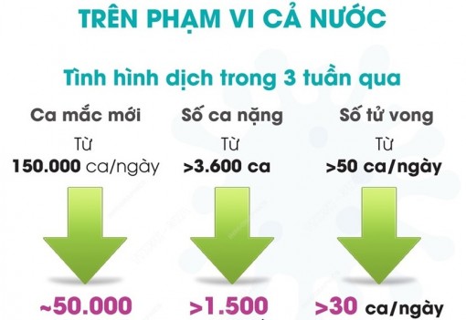 Dịch bệnh COVID-19 cơ bản đang được kiểm soát trên phạm vi cả nước