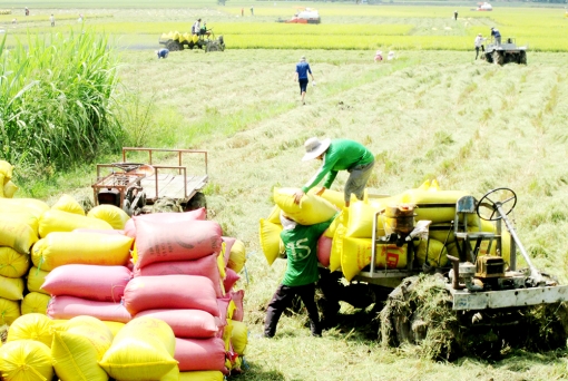 Châu Phú thực hiện nghị quyết các cấp thông qua chương trình hành động