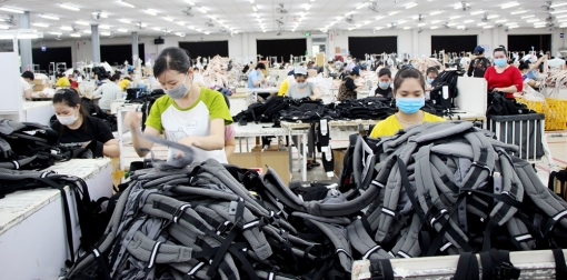 An Giang tăng cường chấp hành pháp luật lao động và công đoàn trong doanh nghiệp