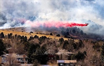 Cháy rừng dữ dội tại New Mexico, Mỹ
