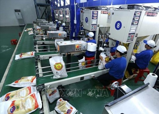 Thị trường nông sản tuần qua: Giá gạo giảm