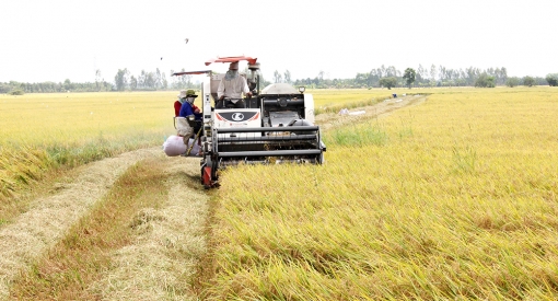Châu Phú phục hồi, phát triển kinh tế - xã hội