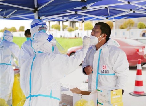 Thế giới ghi nhận 504,4 triệu ca mắc, 6,2 triệu ca tử vong do COVID-19
