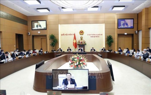 UBTV Quốc hội cho ý kiến về dự án Luật sửa đổi, bổ sung một số điều của Luật Tần số vô tuyến điện