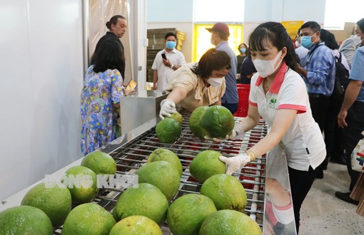 Điểm sáng OCOP khu vực đồng bằng sông Cửu Long