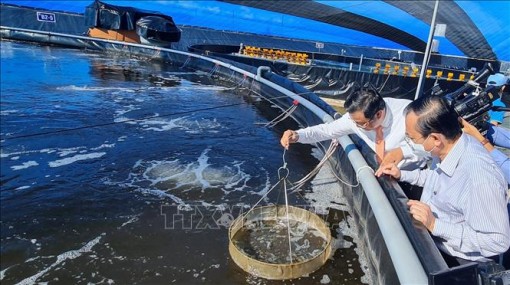 Thúc đẩy đổi mới sáng tạo, nâng cao năng suất, chất lượng hàng hóa, sản phẩm