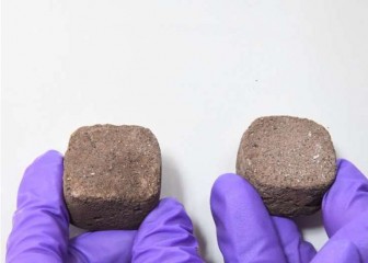 Ấn Độ chế tạo mẫu gạch từ vi khuẩn để xây nhà trên sao Hỏa