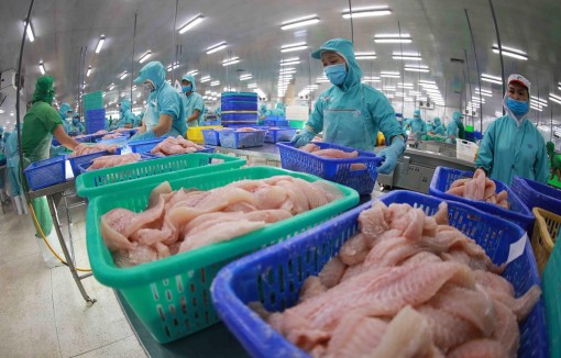 Tận dụng cơ hội đẩy mạnh xuất khẩu thủy sản sang Liên minh châu Âu