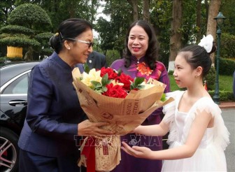Phó Chủ tịch nước Võ Thị Ánh Xuân hội đàm với Phó Chủ tịch nước Lào Pany Yathotou