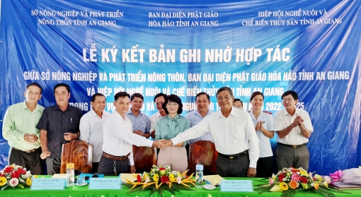 An Giang hợp tác tái tạo nguồn lợi thủy sản
