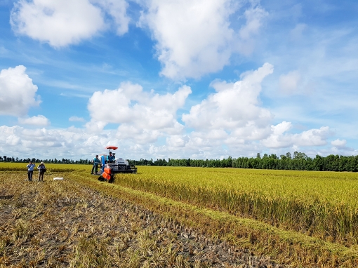 An Giang đột phá kinh tế, mở lối tương lai