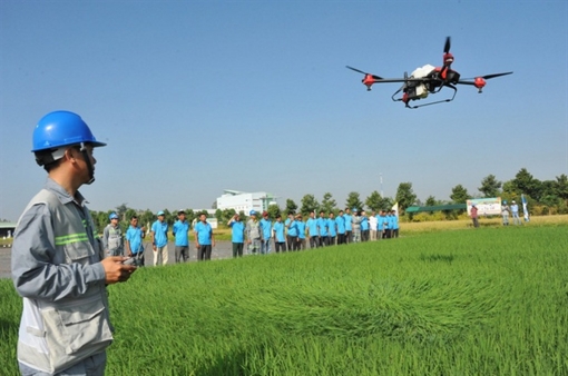 An Giang phát triển nông nghiệp, nông thôn theo hướng hiện đại