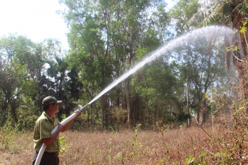 An Giang tập trung bảo vệ rừng