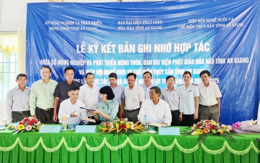 An Giang tái tạo nguồn lợi thủy sản