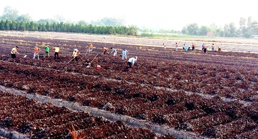 Kết quả nổi bật của ngành tài nguyên và môi trường