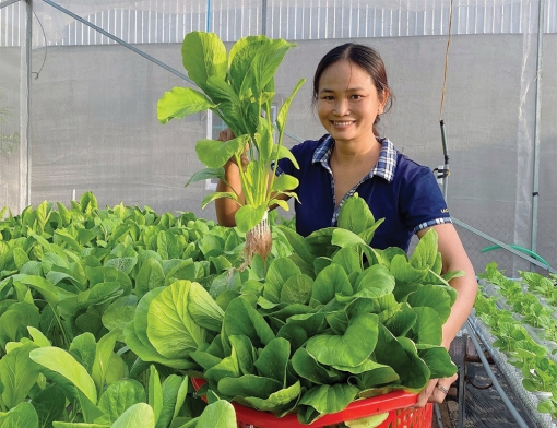 Làm “kinh tế phụ” gắn với tiêu chí vì sức khỏe
