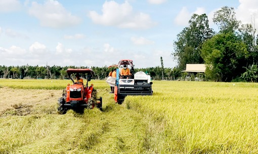 Ứng dụng cơ giới hóa trong sản xuất nông nghiệp