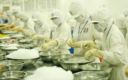 Duy trì đà tăng trưởng nông, lâm, thủy sản