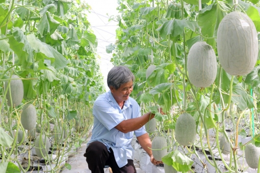 “Tuổi cao, gương sáng”
