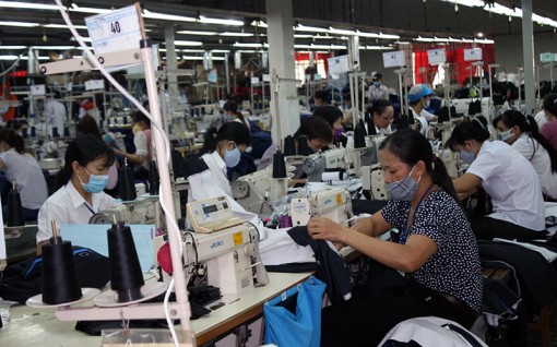Ấn tượng xuất khẩu dệt may