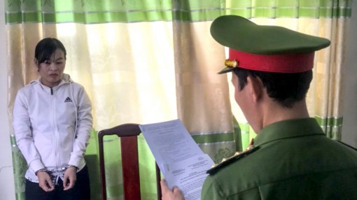 Bình Thuận bắt tạm giam đối tượng lừa đảo 200 tỷ đồng