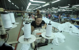 Thương mại Việt Nam - Hoa Kỳ hướng tới phát triển hài hòa, bền vững