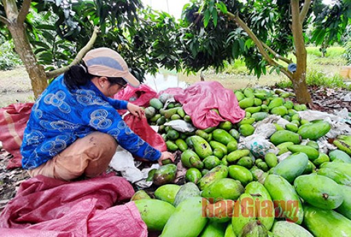 Hậu Giang: Sống là sẻ chia...