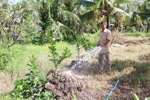 Bến Tre: “Thuận thiên” trong ứng phó biến đổi khí hậu