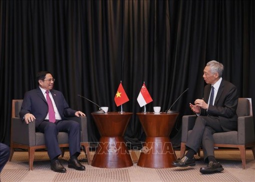 Thủ tướng Phạm Minh Chính gặp Thủ tướng Singapore Lý Hiển Long