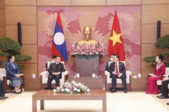 Phát triển quan hệ hữu nghị vĩ đại, đoàn kết đặc biệt Việt Nam-Lào