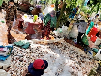 Tiếp tục tìm nguyên nhân và xử lý cá chết tại phường Vĩnh Nguơn