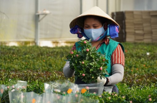 Những nông dân đặc biệt