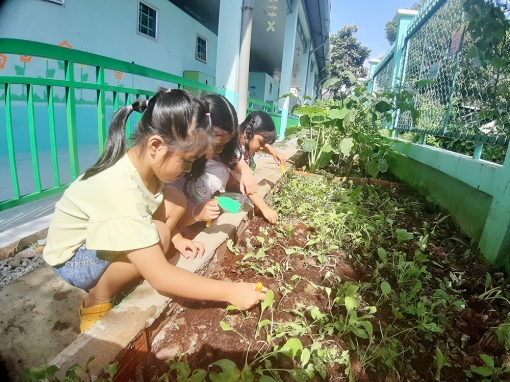 “Vườn rau của bé”