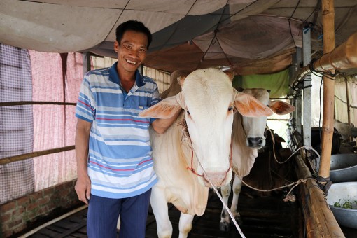 Tiếp sức nông dân làm giàu