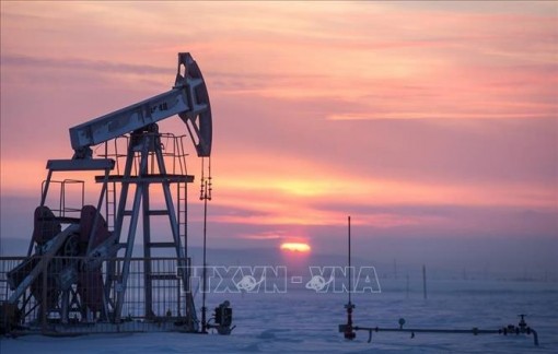 Giá dầu thế giới tuần qua dao động trong biên độ hẹp