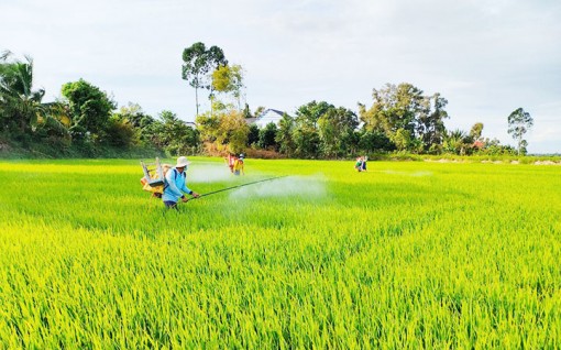 Nông nghiệp sinh thái, nông thôn hiện đại