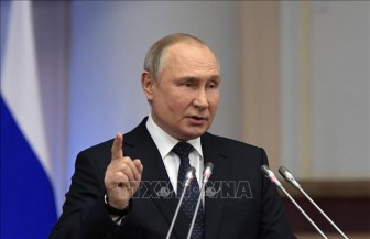 Tổng thống Putin: Kinh tế Nga chống chọi hiệu quả với các lệnh trừng phạt
