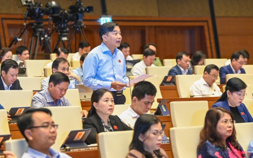 Nâng cao chất lượng rà soát, xây dựng văn bản quy phạm pháp luật