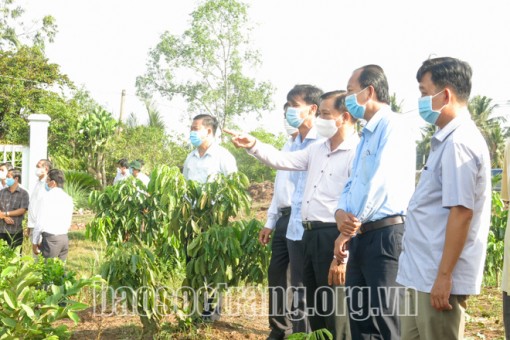 Sóc Trăng:  "Quả ngọt" từ định hướng phát triển cây ăn trái