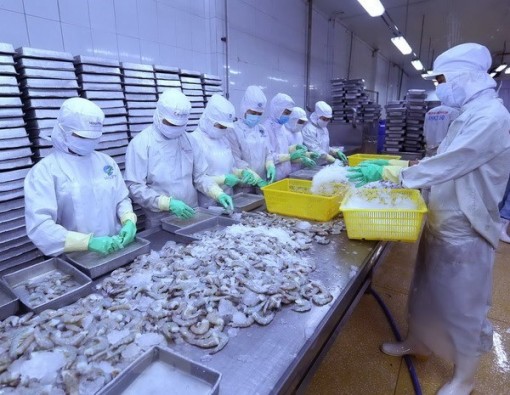 Tận dụng RCEP, xuất khẩu thủy sản sang Australia dự báo tăng mạnh