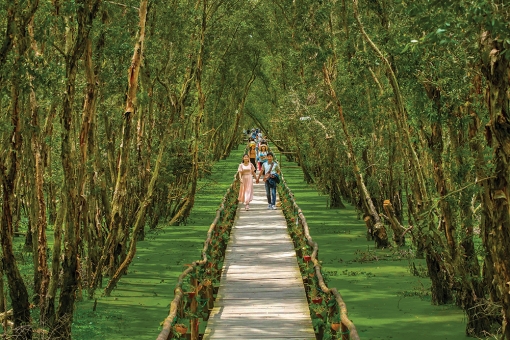 Bảo tồn, phát huy giá trị của di sản thiên nhiên
