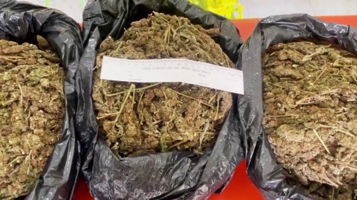 Bắt giữ thanh niên vận chuyển 5kg cần sa qua biên giới Tri Tôn
