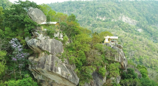 Lên điện Cây Quế