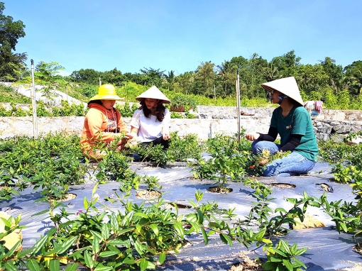 An Giang phát triển khoa học và công nghệ