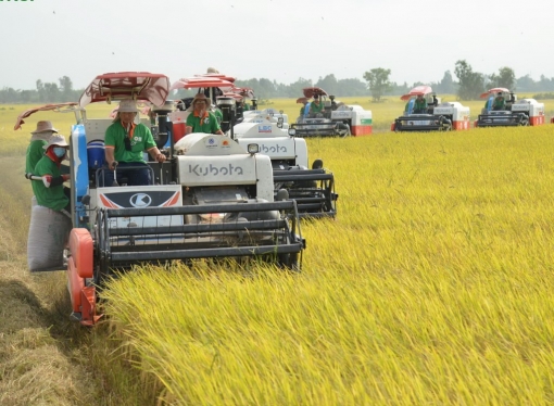 An Giang thúc đẩy đổi mới sáng tạo nông nghiệp