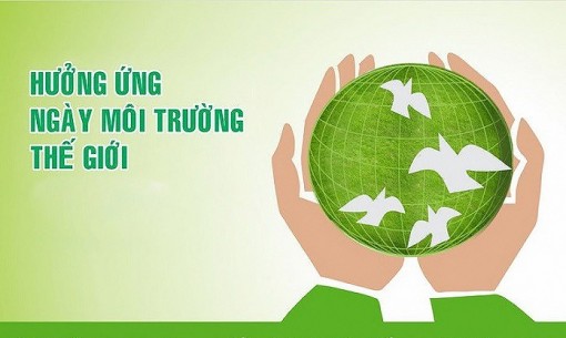 Ngày môi trường Thế giới 5/6: Nâng cao nhận thức trong công tác bảo vệ môi trường