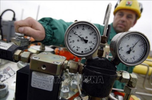 Thế giới tuần qua: EU cấm nhập khẩu 75% dầu Nga; Cảnh báo đậu mùa khỉ âm thầm lây lan