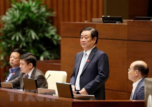 Bộ NN&PTNT: Ùn ứ nông sản tại cửa khẩu chỉ là vấn đề đột biến