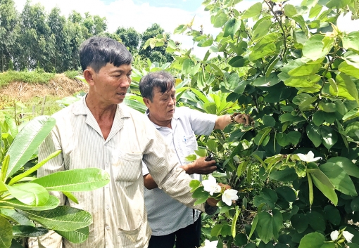 Nỗ lực chăm sóc sức khỏe nhân dân